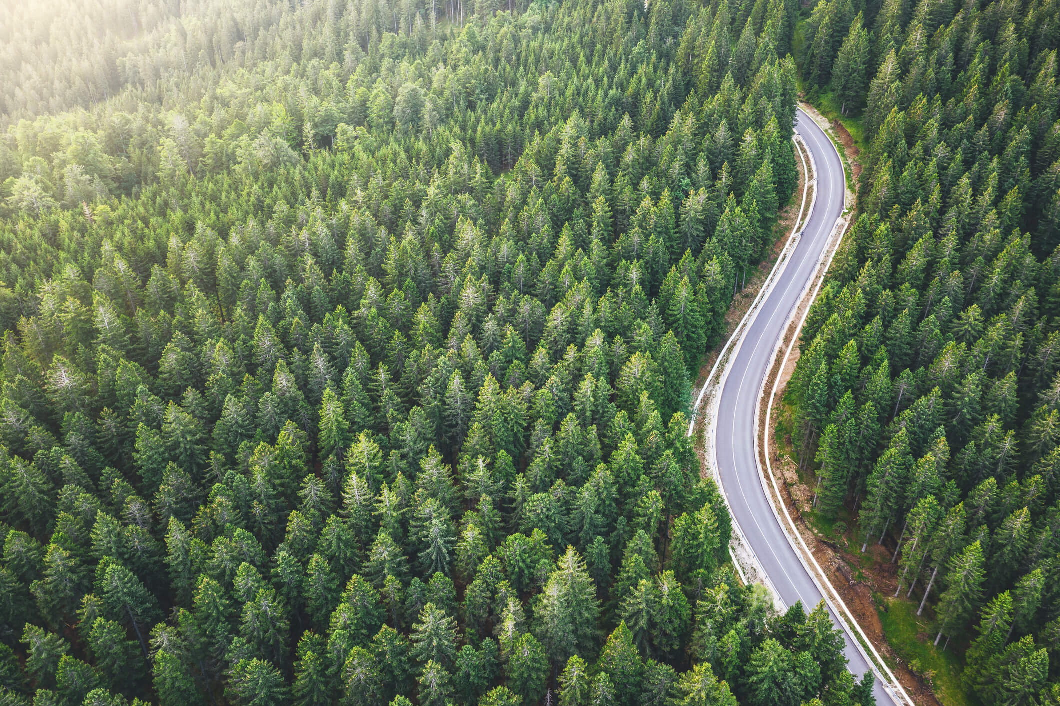 Nachhaltigkeitsstrategie und Roadmap